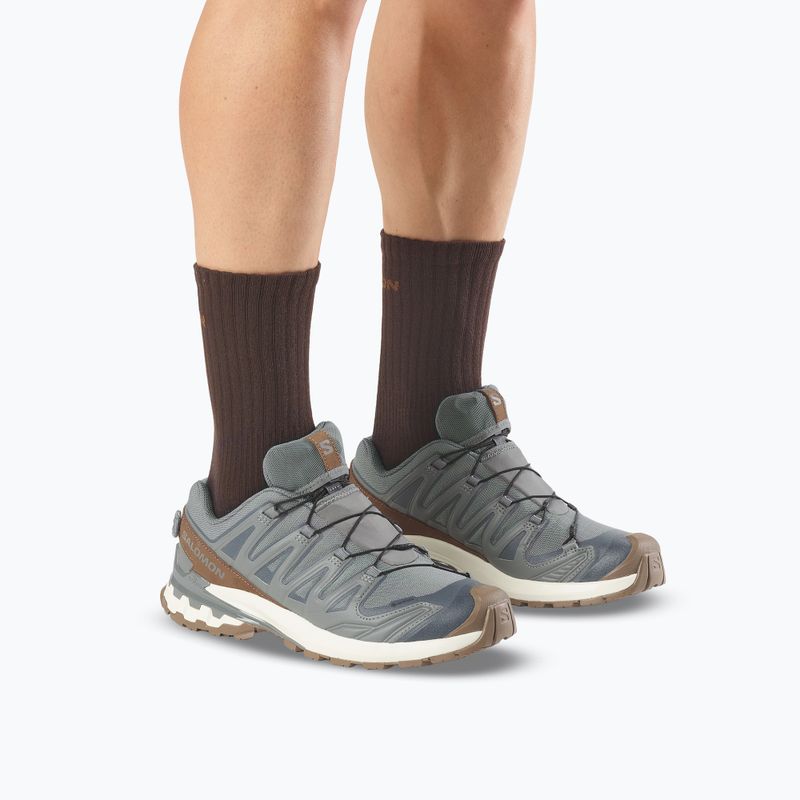 Herren-Laufschuhe Salomon XA Pro 3D V9 GTX Lifelong sedona sage/coyote brown 6