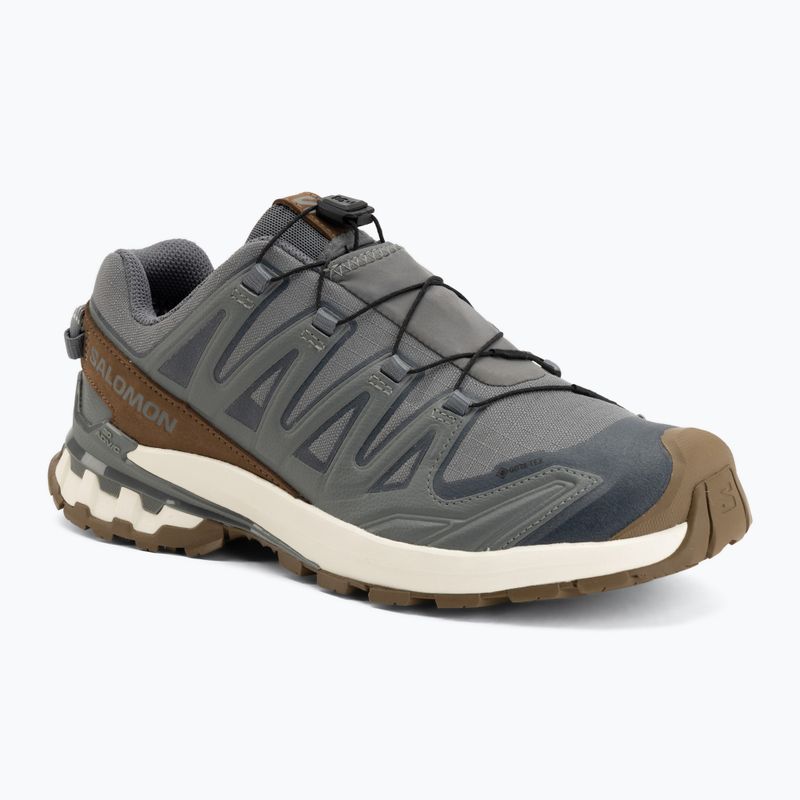 Herren-Laufschuhe Salomon XA Pro 3D V9 GTX Lifelong sedona sage/coyote brown