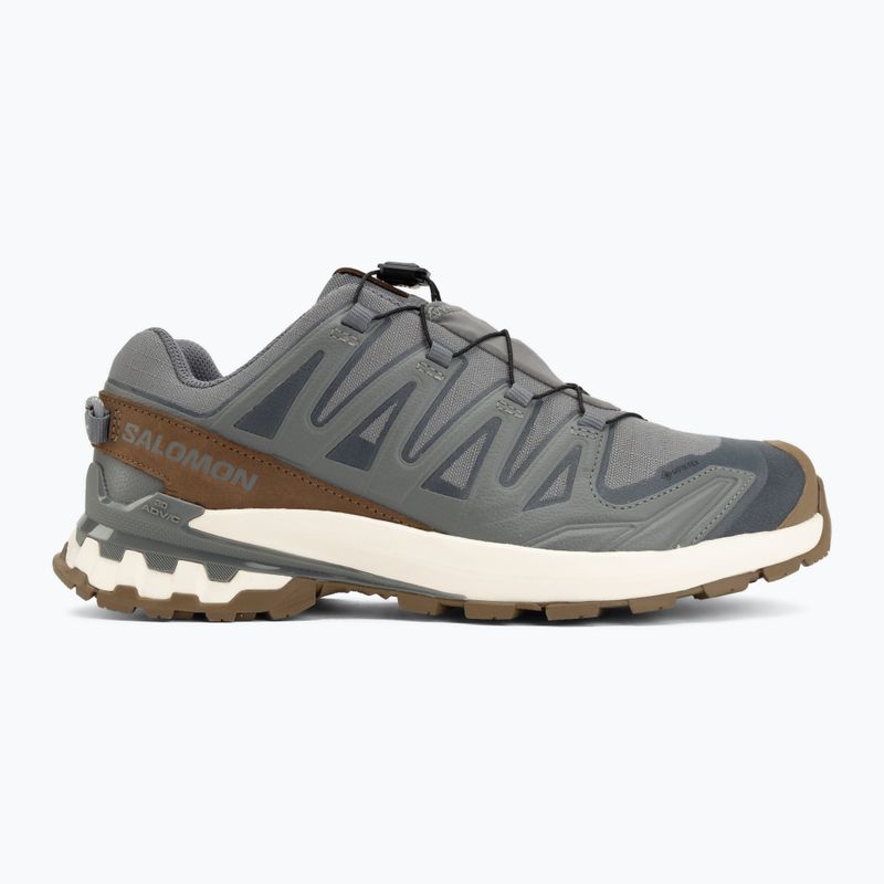 Herren-Laufschuhe Salomon XA Pro 3D V9 GTX Lifelong sedona sage/coyote brown 2