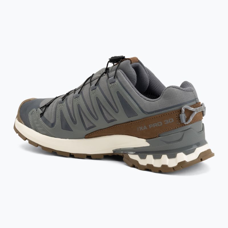 Herren-Laufschuhe Salomon XA Pro 3D V9 GTX Lifelong sedona sage/coyote brown 3
