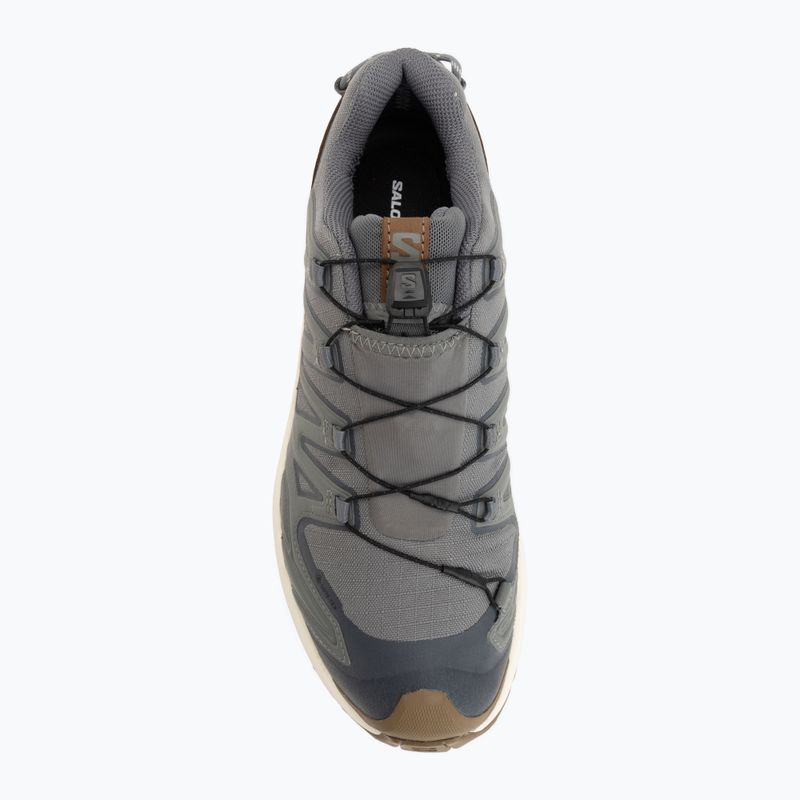 Herren-Laufschuhe Salomon XA Pro 3D V9 GTX Lifelong sedona sage/coyote brown 5