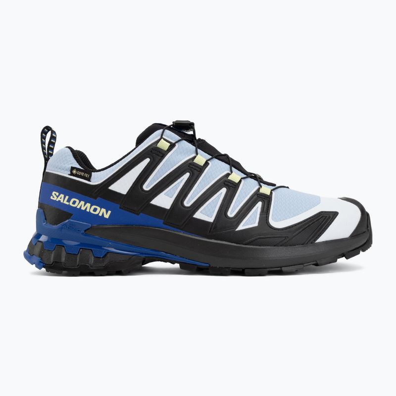 Herren-Laufschuhe Salomon XA Pro 3D V9 GTX Icon black/brunnera blue 2
