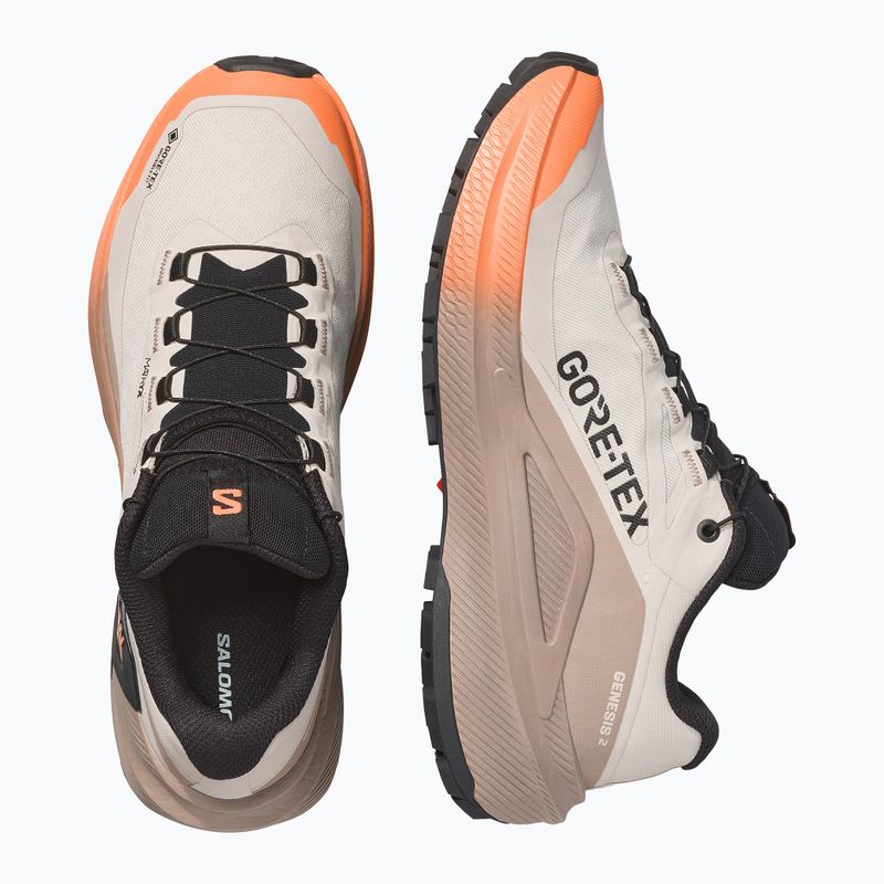 Laufschuhe für Damen Salomon Genesis 2 GTX rainy day/desert tan 3