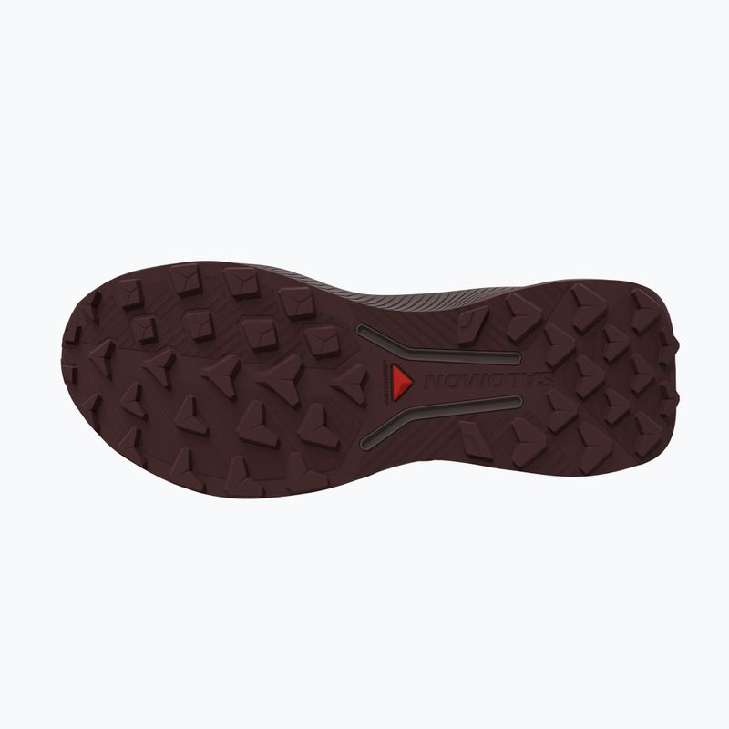 Herren-Laufschuhe Salomon Genesis 2 vanilla ice/iron 3