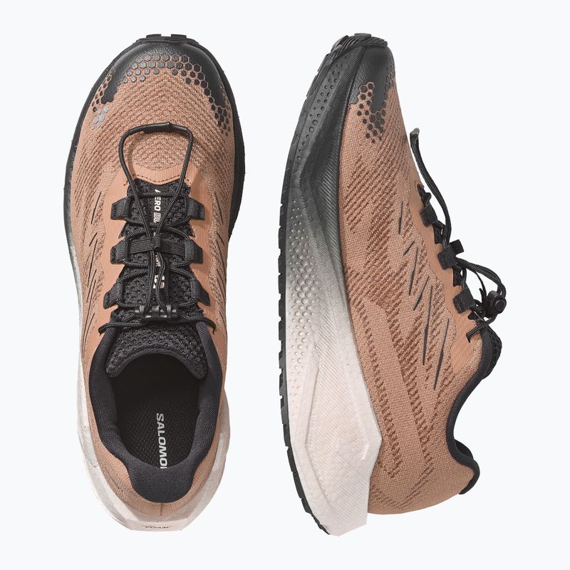 Herren-Laufschuhe Salomon Aero Blaze 4 GRVL burro/vanilla ice 3