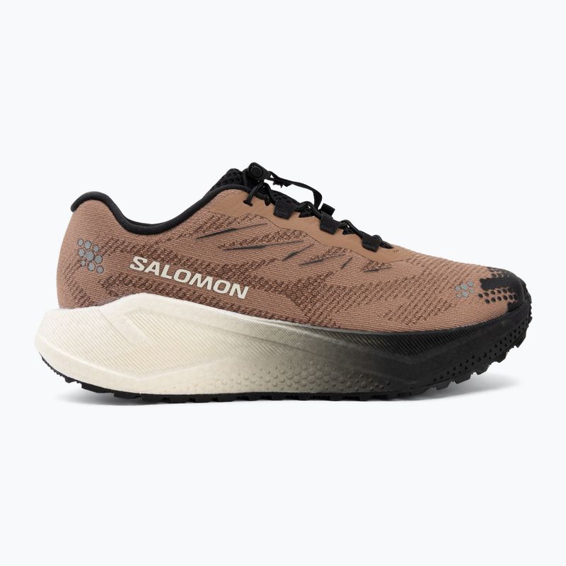 Herren-Laufschuhe Salomon Aero Blaze 4 GRVL burro/vanilla ice 2