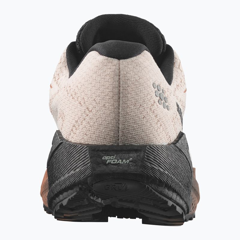 Laufschuhe für Damen Salomon Aero Blaze 4 GRVL GTX vanilla ice/black 2