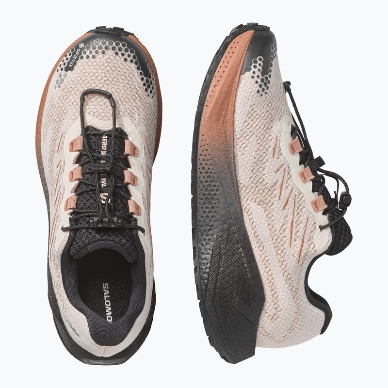 Laufschuhe für Damen Salomon Aero Blaze 4 GRVL GTX vanilla ice/black 3