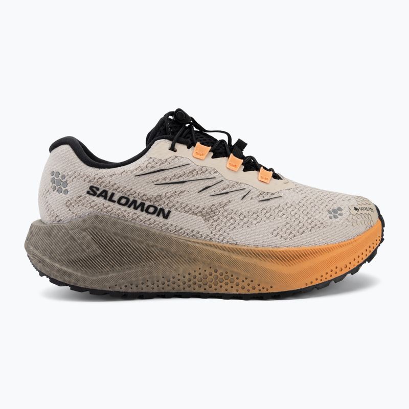 Laufschuhe für Damen Salomon Aero Blaze 4 GRVL GTX rainy day/black 2