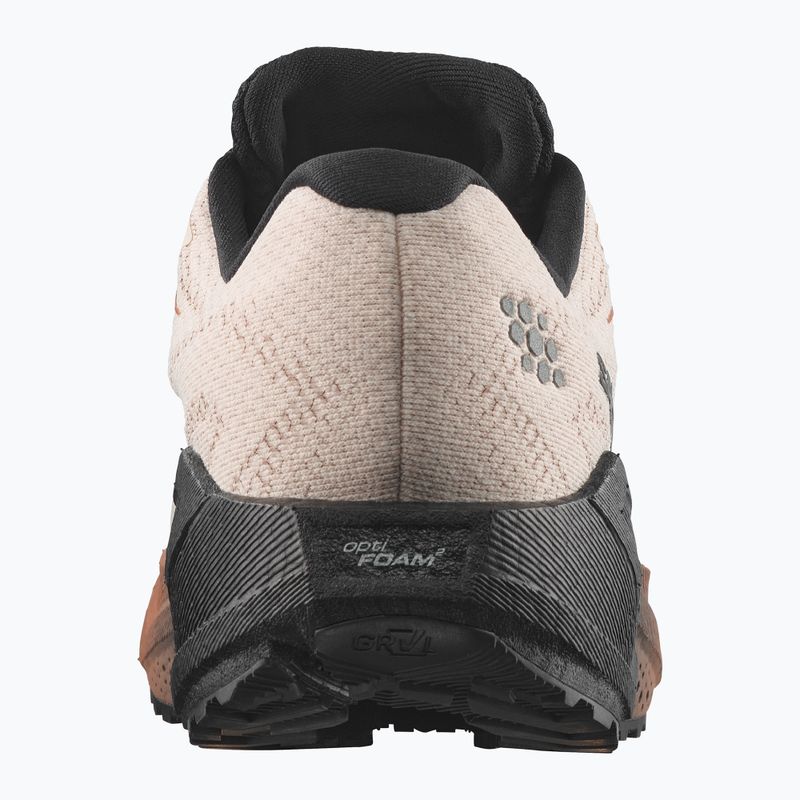 Herren-Laufschuhe Salomon Aero Blaze 4 GRVL GTX vanilla ice/black 2