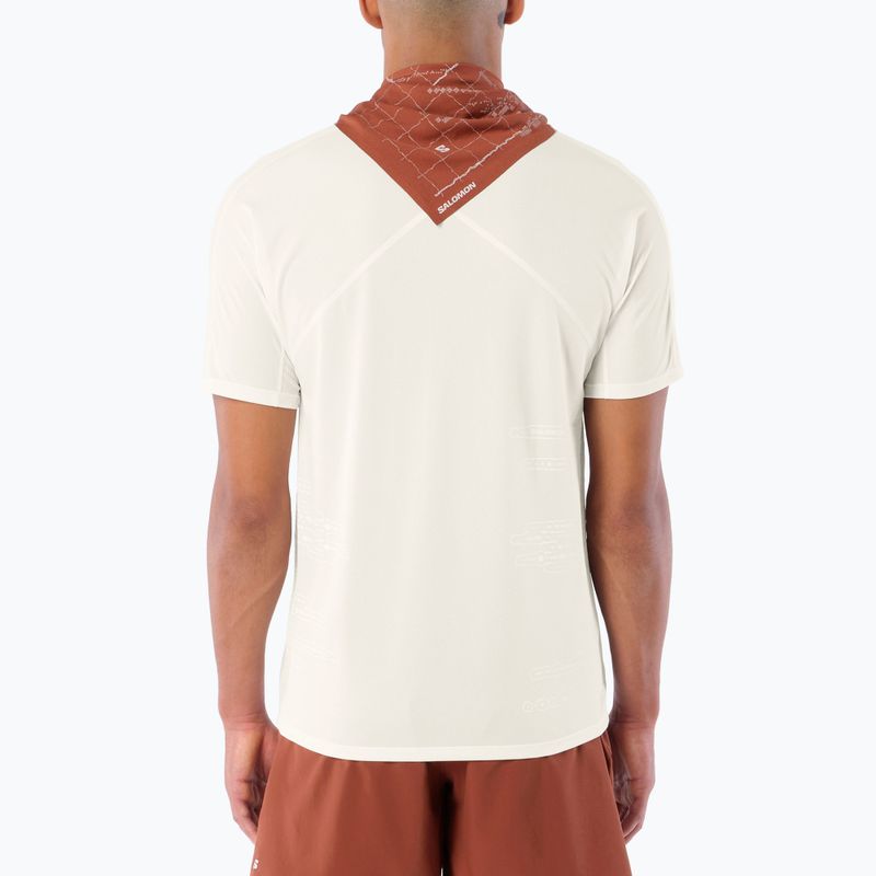 Herren-Laufshirt Salomon Sense Aero GFX Tee SS whisper white/raind day/bright white 2
