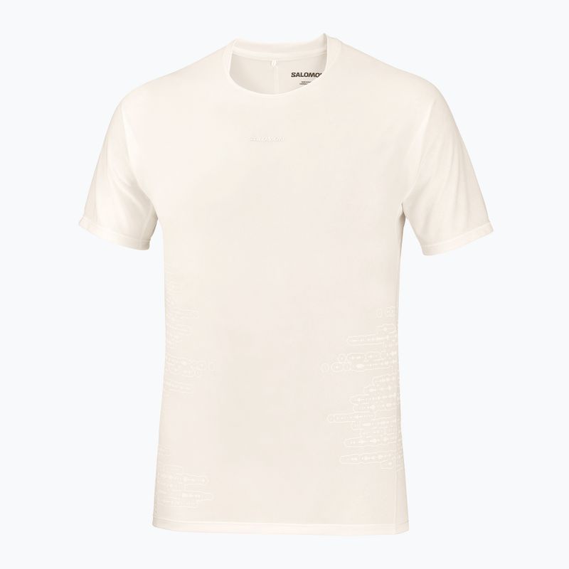 Herren-Laufshirt Salomon Sense Aero GFX Tee SS whisper white/raind day/bright white 5