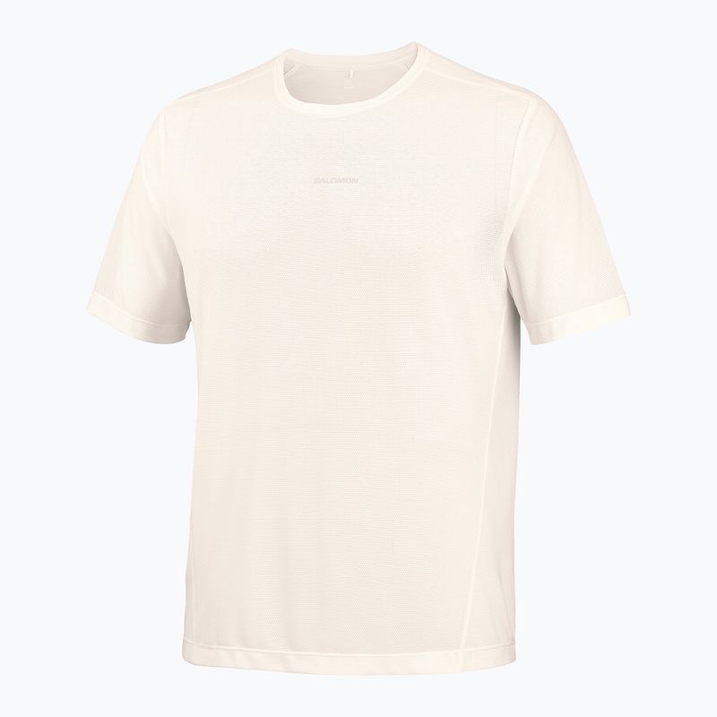 Herren-Laufshirt Salomon Shakeout Core GFX SS Tee whisper white/pink frosting 5