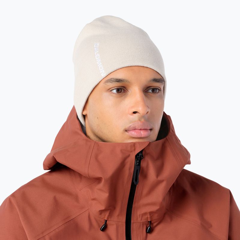 Wintermütze Salomon Graphic silver cloud 2