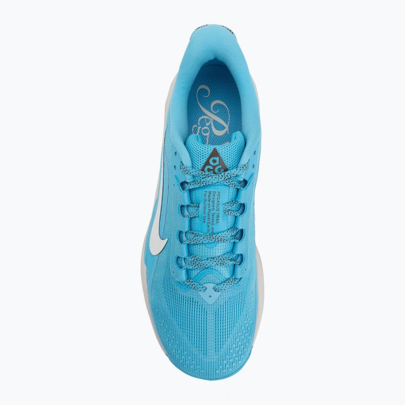 Herren-Laufschuhe Nike ACG Pegasus Trail balightic blue/light orewood brown/summit white 5