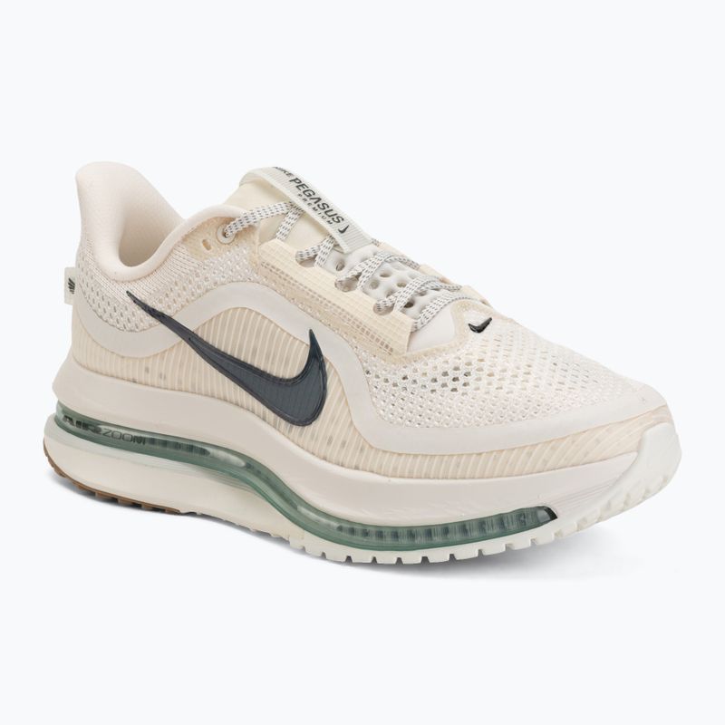 Herren-Laufschuhe Nike Pegasus Premium Pale ivory/jade horizon/black spruce