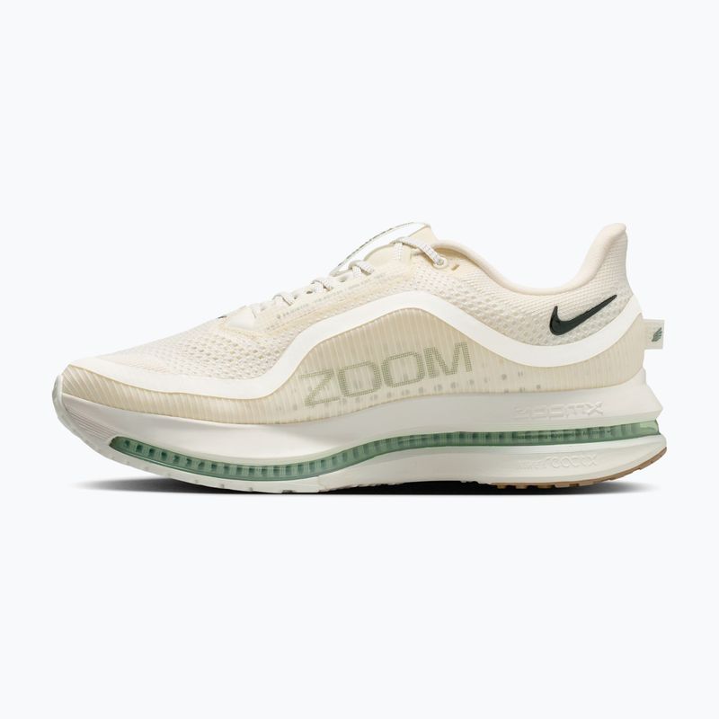 Herren-Laufschuhe Nike Pegasus Premium Pale ivory/jade horizon/black spruce 2