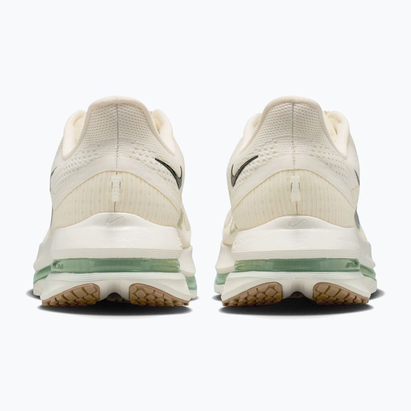 Herren-Laufschuhe Nike Pegasus Premium Pale ivory/jade horizon/black spruce 4