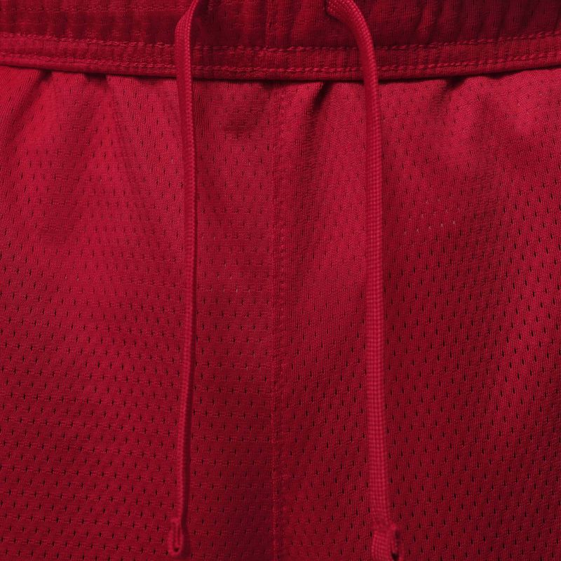 Herren-Shorts  Jordan Sport Essentials Dri-Fit gym red 5