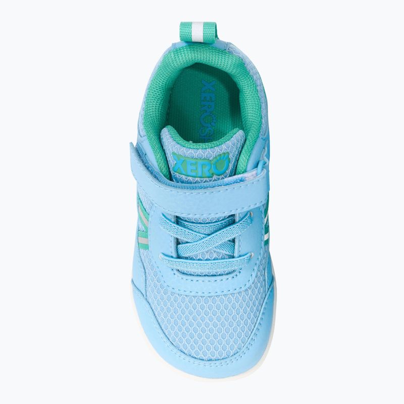 Barfußschuhe Kinder Xero Shoes Prio Milky Blue 6