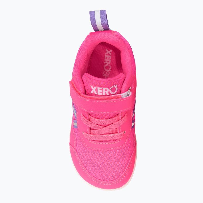 Barfußschuhe Kinder Xero Shoes Prio pink 6