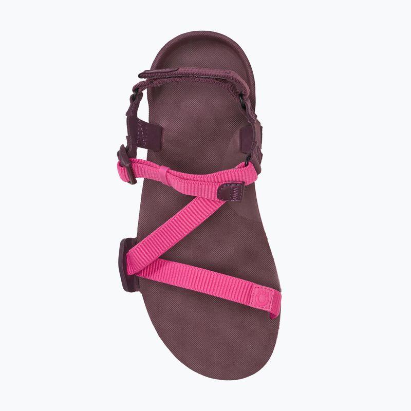Damen Barfußsandalen Xero Shoes Z-Trail EV fuchsia purple 5
