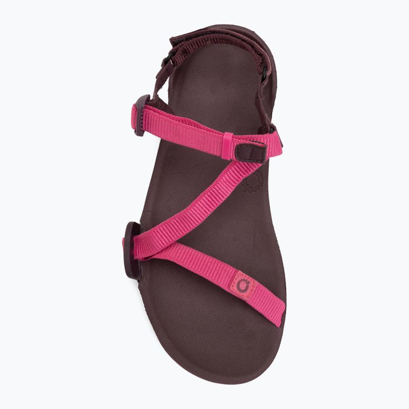 Damen Barfußsandalen Xero Shoes Z-Trail EV fuchsia purple 5