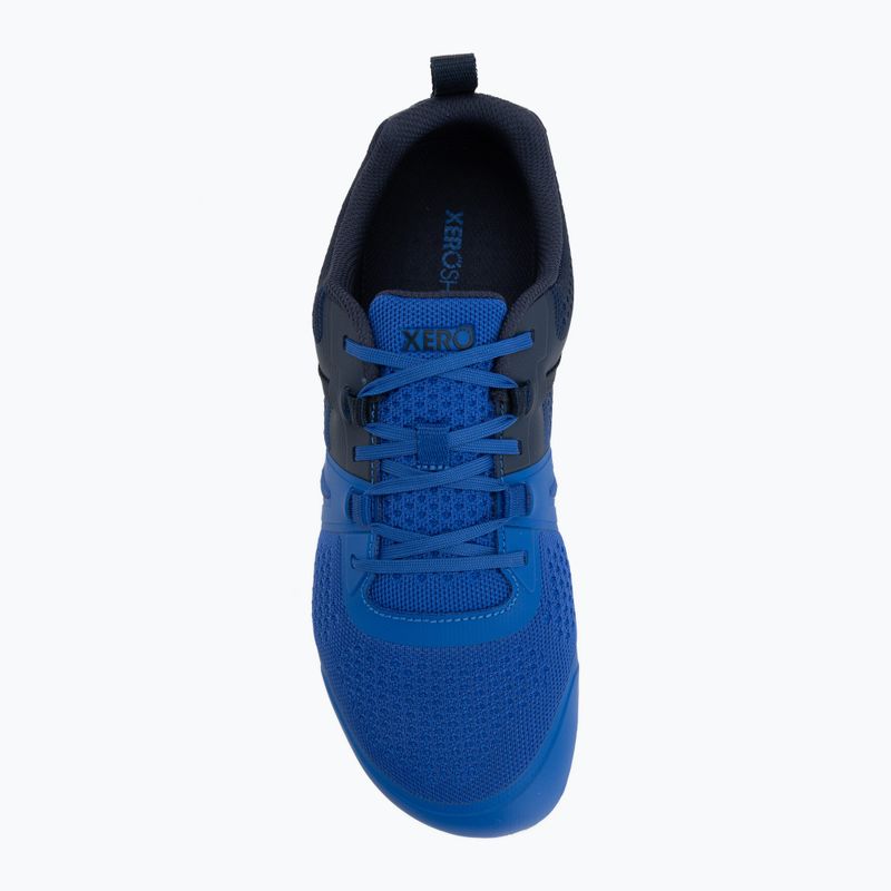 Barfußschuhe für Herren Xero Shoes Prio Neo blue lolite 5