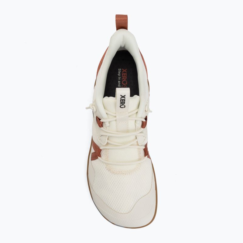 Damen Barfußschuhe Xero Shoes Prio Easy On egret/burnt brick 5