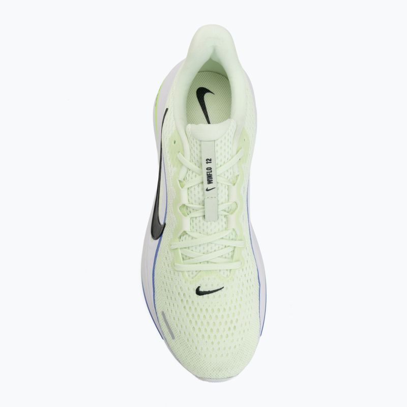 Herren-Laufschuhe Nike Winflo 12 volt tint/white/sapphire/black spruce 5