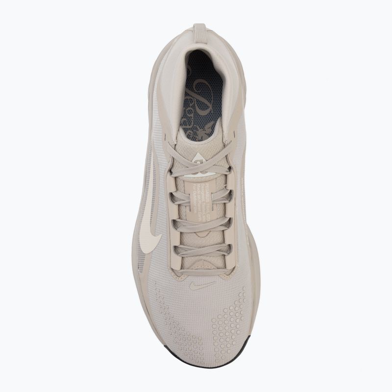 Herren-Laufschuhe Nike ACG Pegasus Trail GORE-TEX Cream Ii/Light Orewood Brown 5