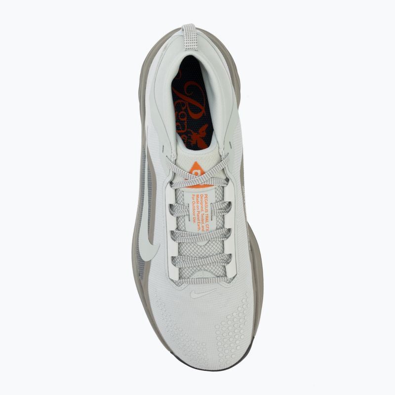 Herren-Laufschuhe Nike ACG Pegasus Trail GORE-TEX Light Silver/Light Army/Light Silver 5