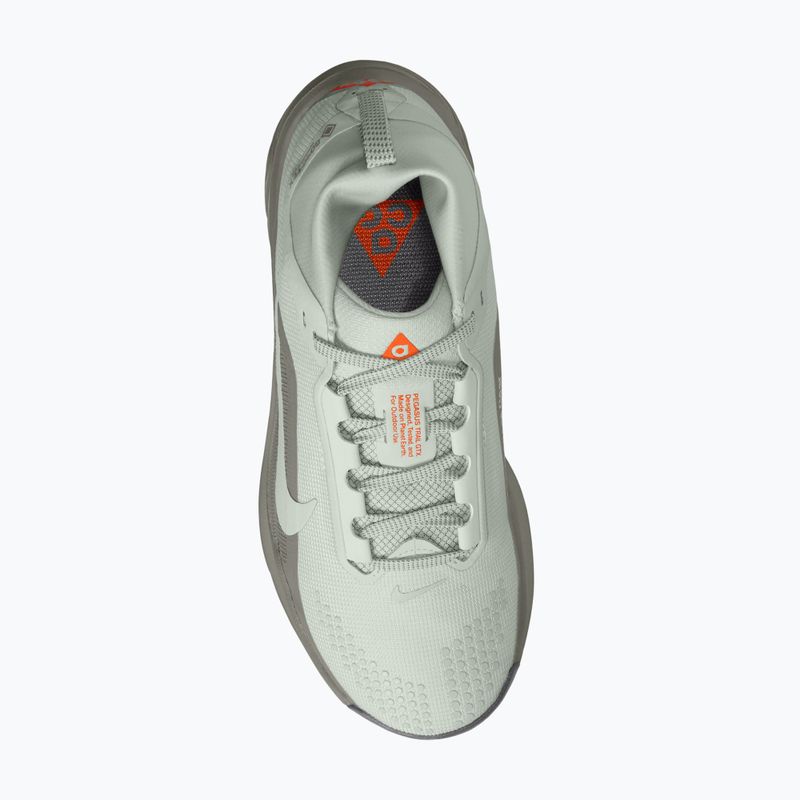 Laufschuhe für Damen Nike ACG Pegasus Trail GORE-TEX Light Silver/Light Army/Light Silver 4