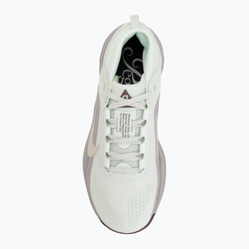 Laufschuhe für Damen Nike ACG Pegasus Trail GORE-TEX Barely Green/Silver Lilac/Light Bone 5