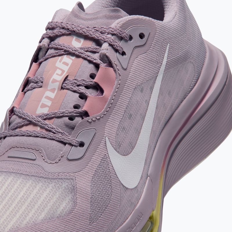 Laufschuhe für Damen Nike Pegasus Plus 2 silver lilac/particle rose/fennel/sail 5