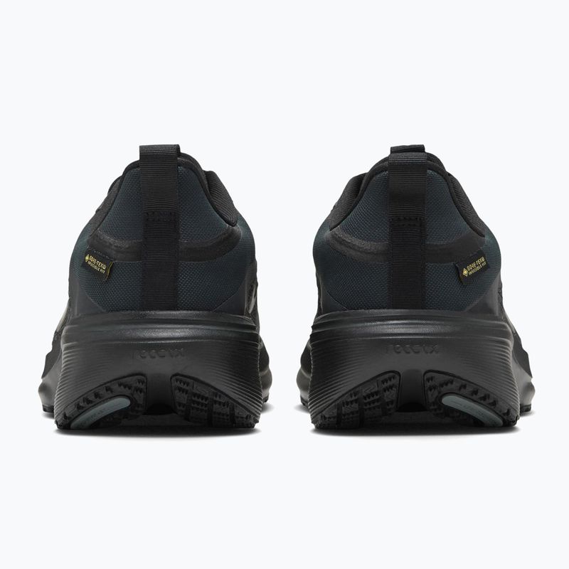 Laufschuhe für Damen Nike Pegasus 42 GORE-TEX black/off noir/dark grey/black 2