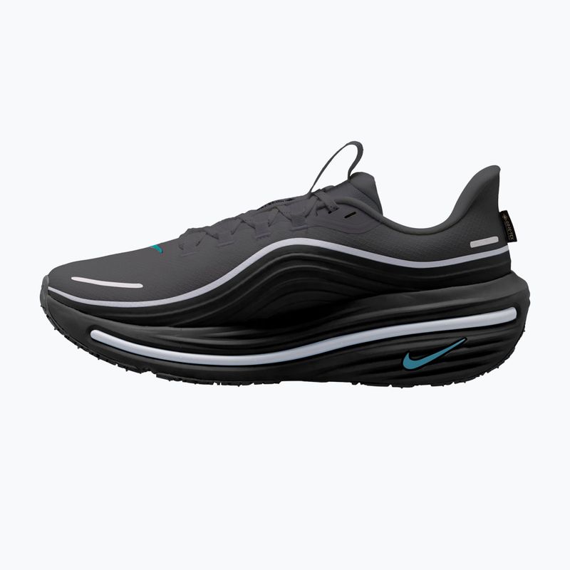 Herren-Laufschuhe Nike Winflo 12 GORE-TEX anthracite/black/bright spruce 2