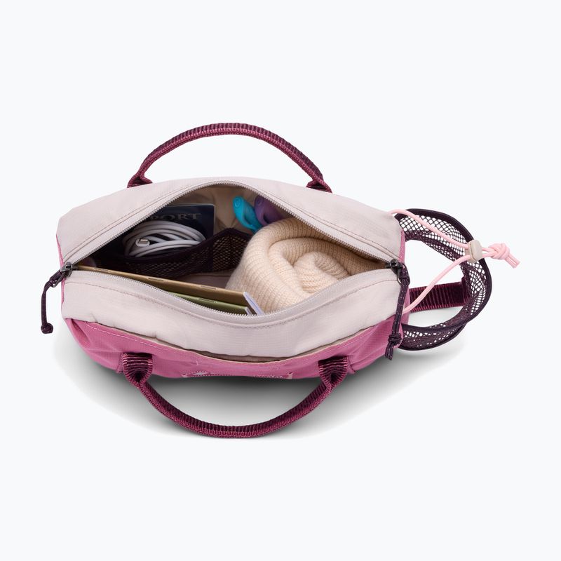 Bauchtasche Columbia Echo Mountain Hip rosette/dark stone/moonvista 3