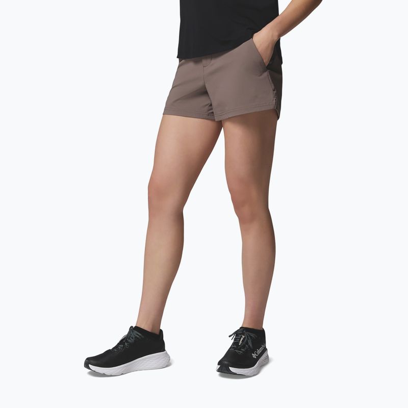 Damen-Trekking-Shorts Columbia Shale Ridge iron 4