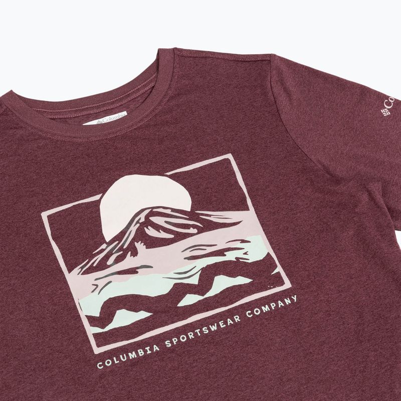 Damen-Longsleeve Columbia Parsons Point LS Graphic Tee antique mauve heather/all terrain 8