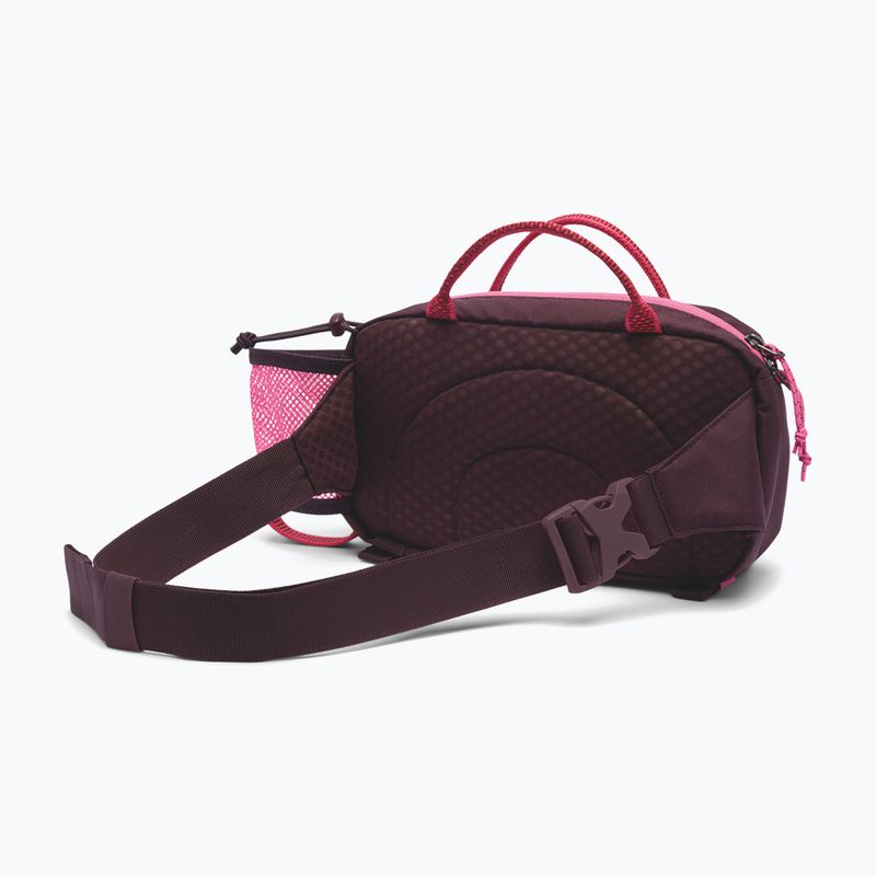 Bauchtasche Columbia Echo Mountain Hip moonvista/nico 2