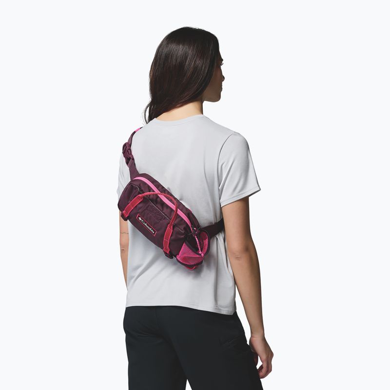 Bauchtasche Columbia Echo Mountain Hip moonvista/nico 9