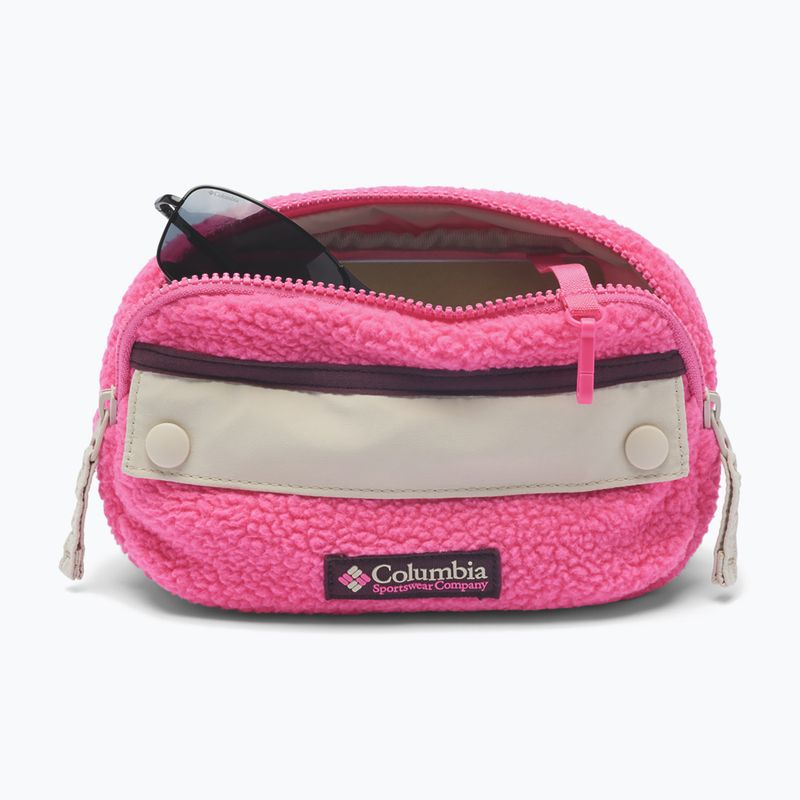 Bauchtasche Columbia Helvetia II Hip Pack 1 l nico/dark stone 3
