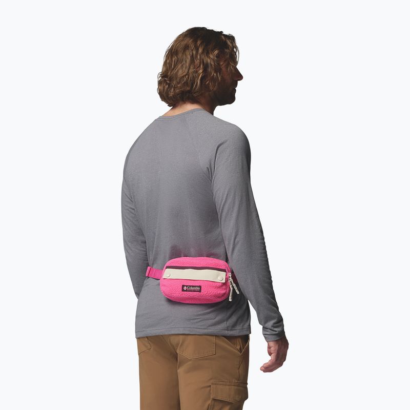 Bauchtasche Columbia Helvetia II Hip Pack 1 l nico/dark stone 8