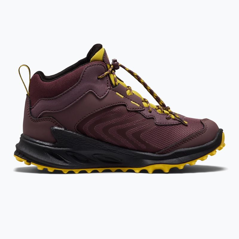 Kinder-Trekkingschuhe KEEN Zionic Mid Wp huckleberry/mango mint 3