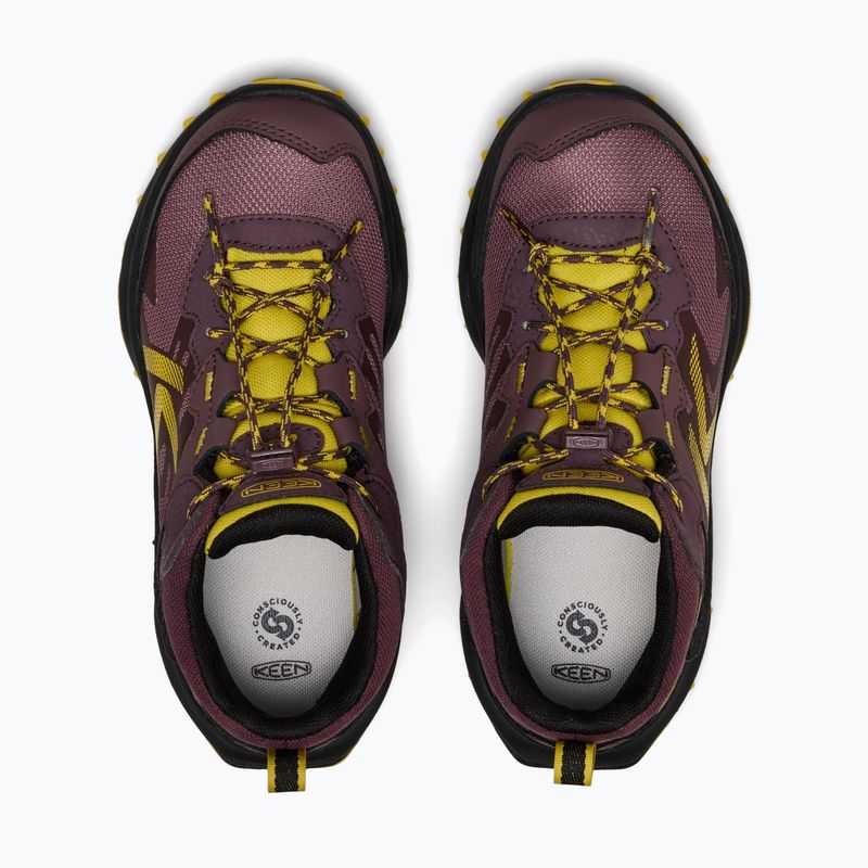 Kinder-Trekkingschuhe KEEN Zionic Mid Wp huckleberry/mango mint 5