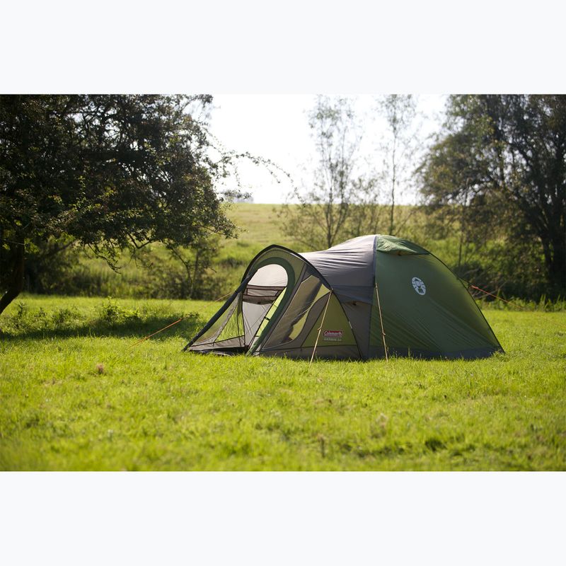 Coleman Darwin 3+ grünes 3-Personen-Trekkingzelt 3