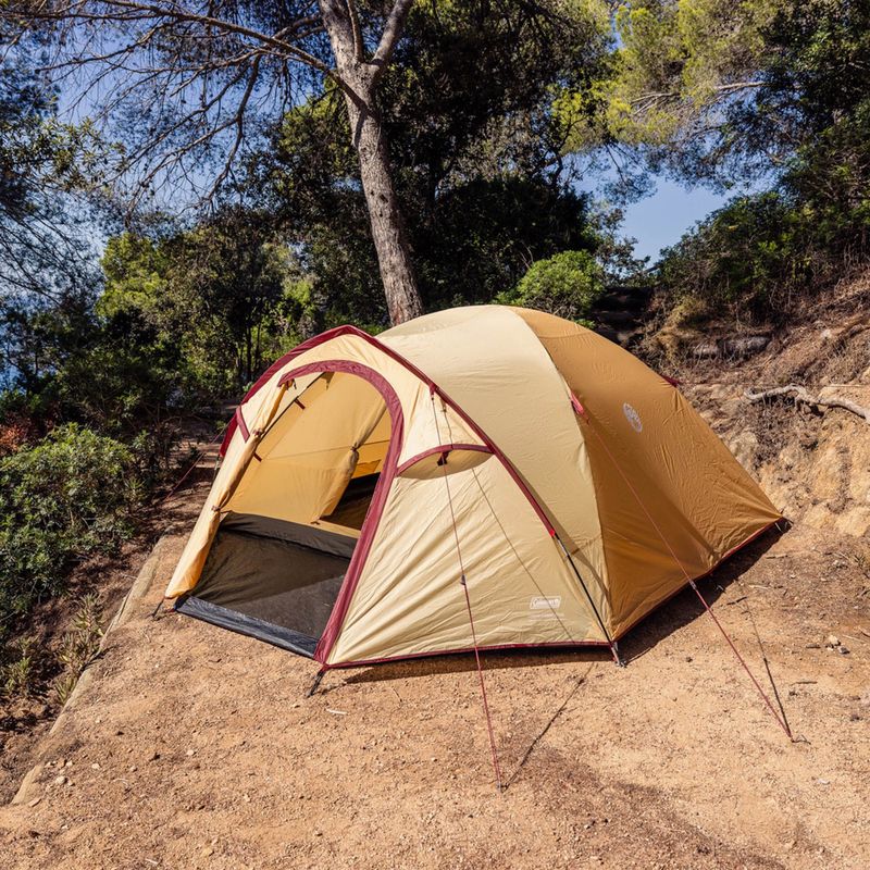 4-Personen-Campingzelt Coleman Darwin Summer 4 + beige 8