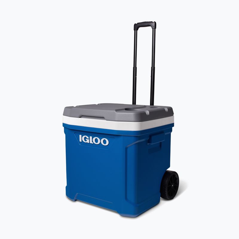 Camping-Kühlbox Igloo Latitude 60 Qt 56 l indigo blue 2
