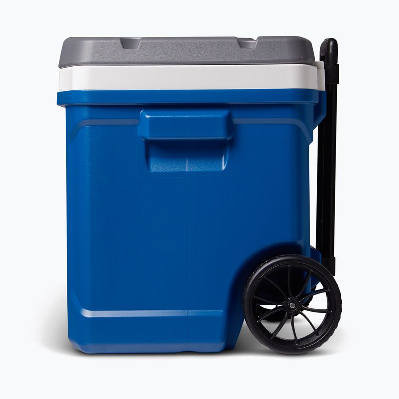 Camping-Kühlbox Igloo Latitude 60 Qt 56 l indigo blue 3